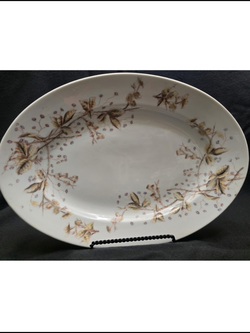 Antique Marx & Gutherz Carlsbad Oval Serving Platter Pattern 1538, Ca. 1884-1898